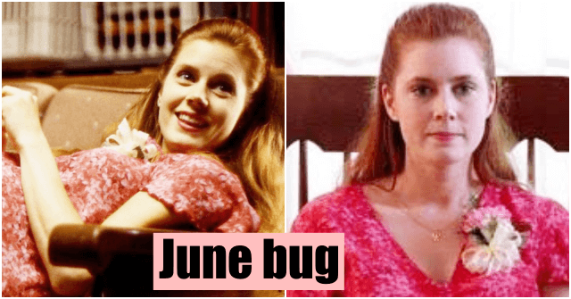エイミーアダムス「June bug」